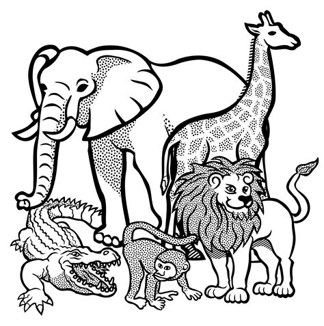 African Animals Lineart Zoo Animal Coloring Pages Lion Coloring