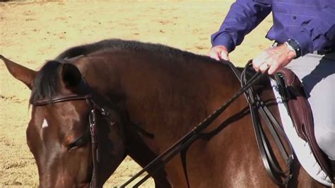 How To Hold Two Reins Youtube