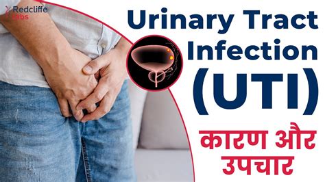 Uti Urinary Tract Infection