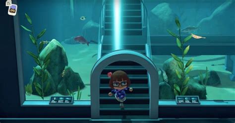 Animal Crossing: New Horizons Players Blast PETA Over Anti-Aquarium Video