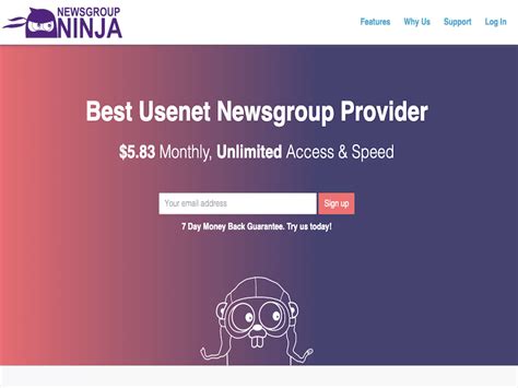 Newsgroup Ninja Review