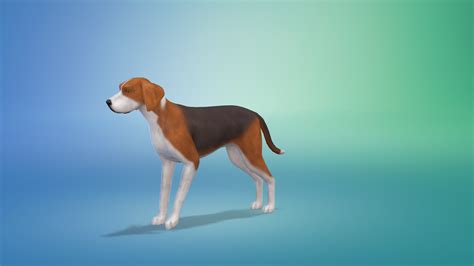 Sims 4 Dog Breeds