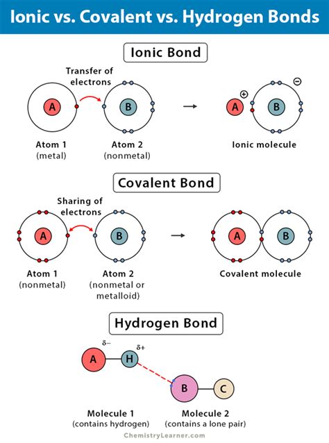 Hydrogen Bond Definition Types And Examples