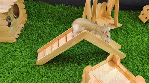 Làm Khu Vui Chơi Cho Hamster Play Area For Hamsters Thông Tin Về đồ