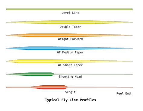 Fly Line Ratings And Profiles Fly Rod And Line