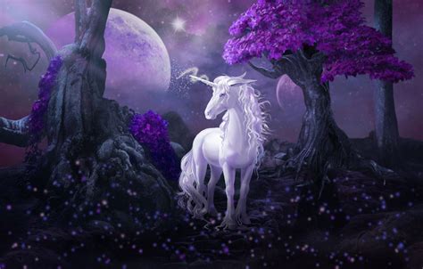 Purple Unicorn Surreal Fantasy Digital Art Etsy