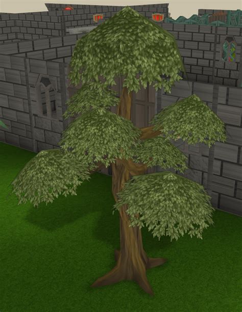 Bagged Yew Tree The Runescape Wiki