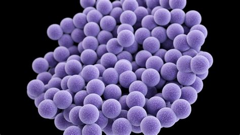 Who Sounds Alarm On Widespread Superbug Infections