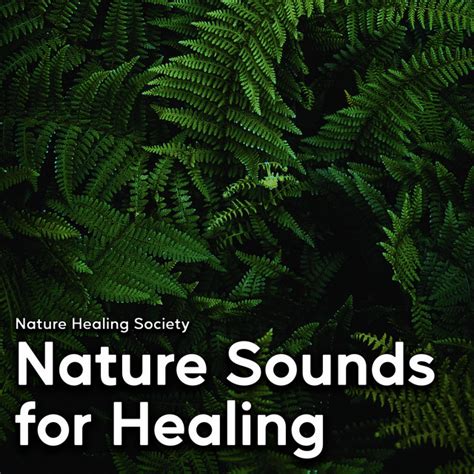 Nature Sounds For Healing Album By Nature Healing Society Spotify