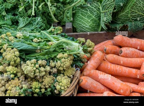a selection of fresh vegetables including carrots and cabbages with broccoli on sale on a
