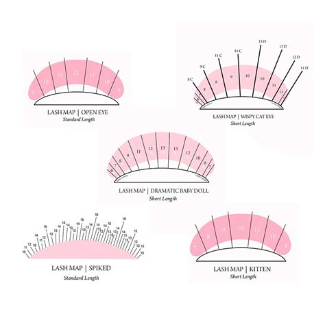 Home Products Free Lash Mapping Guide