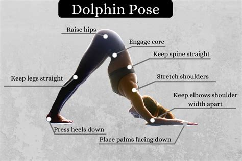 Dolphin Pose Ardha Pincha Mayurasana How To Do Benefits And