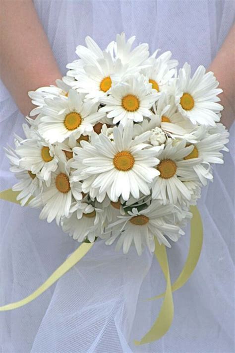 Large Daisy Bouquet This Is As A Lovely Size For The Bride Bouquet