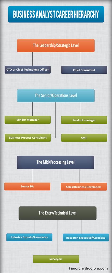 Business Analyst Career Hierarchy Career Path System