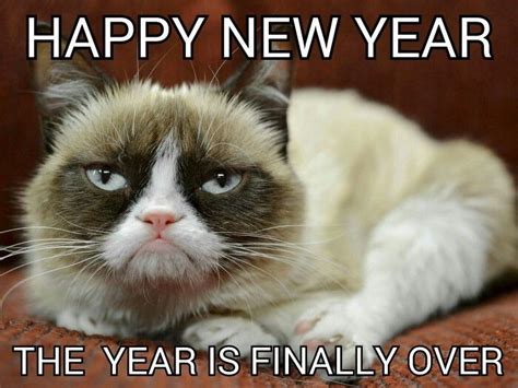 Happy New Year Grumpy Fans Want More Of The Grumps Like And Follow