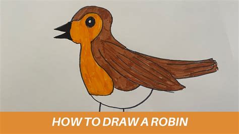 How To Draw A Robin Bird Youtube