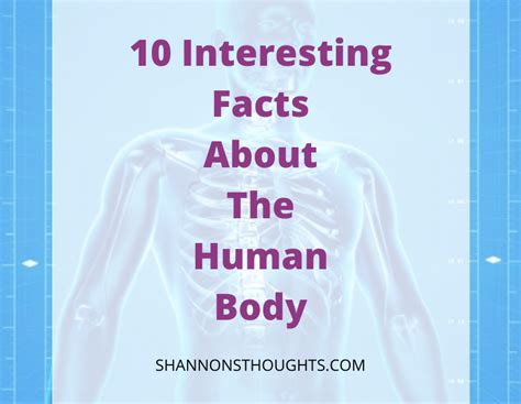 10 Interesting Facts About The Human Body Shannons Thoughts