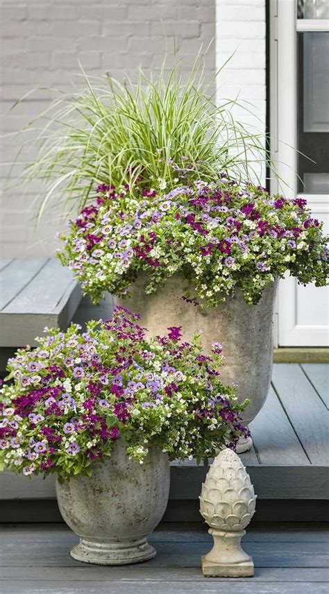 34 Lovely Combination Planting Container Gardening Ideas