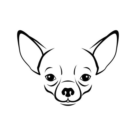 Chihuahua Dog Drawing Free Download On Clipartmag