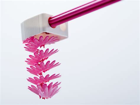 Flower Pencils That Create Beautiful Petals Qaz Japan