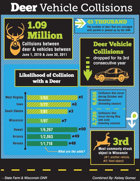 Infographic Deer Vehicle Collisions A Statistical Look At