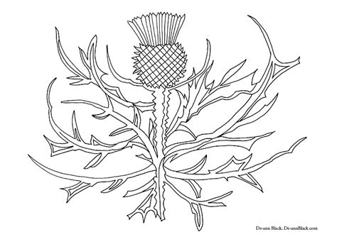 Scottish Thistle Line Drawing At Getdrawings Free Download