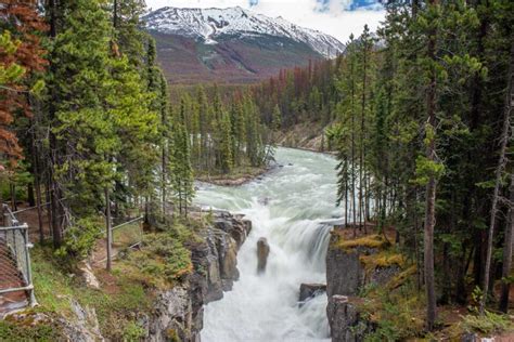 12 Things To Know Before Visiting Sunwapta Falls Jasper