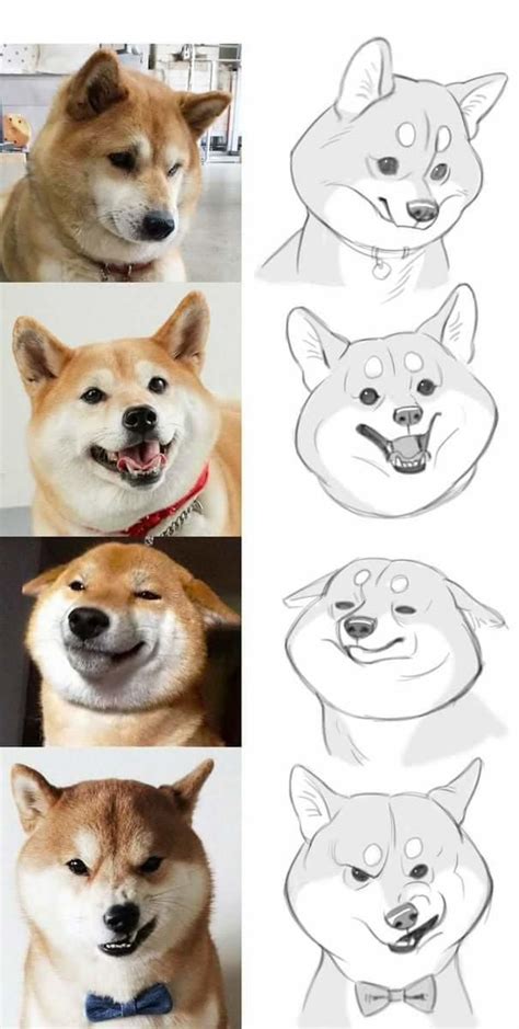 How To Draw Doge Doge Animal Drawings Cartoon Drawings Dog Drawing