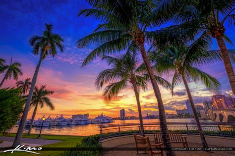 West Palm Beach Sunset Under Coconut Tree Waterway Hdr Photography By