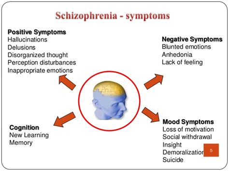 An excess or distortion of normal functions: Pathophysiology of Schizophrenia