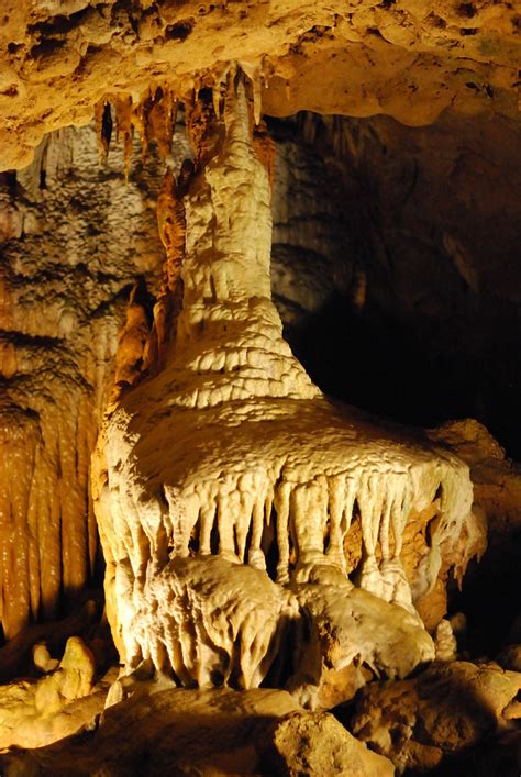 Florida Caverns State Park Formation | Florida Caverns State… | Flickr