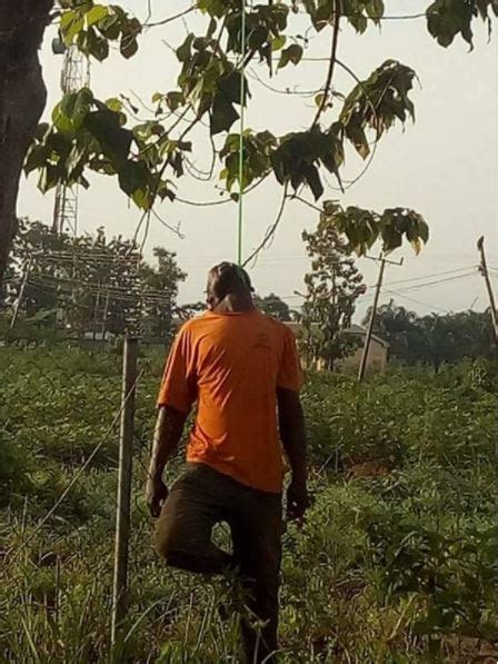 Heartbreaking Photos Of Man Found Hanging From A Tree In Ebonyi