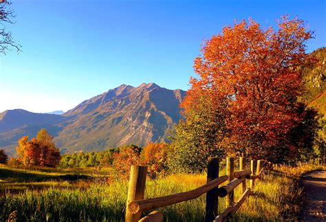 Trees Landscape Forest Fall Mountains Nature Reflection Grass