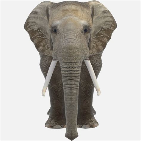 Elephant 3d Printing Models
