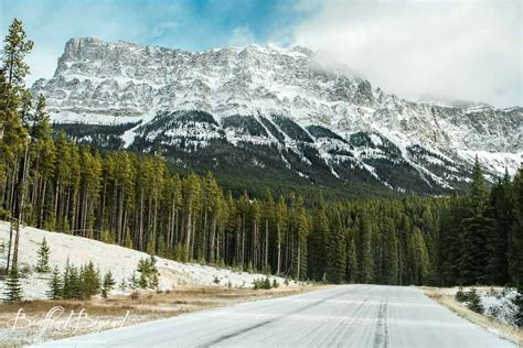 The Bow Valley Parkway The Alternate Scenic Route Between Banff And