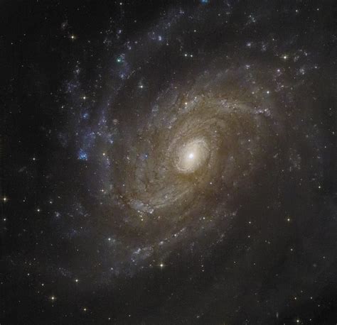 AM 1705-773 | A flocculent spiral galaxy with some of our ow… | Flickr