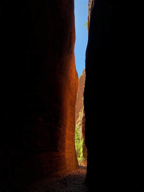 Bungle Bungle Flight + Cathedral Gorge, Domes & Echidna Chasm Guided