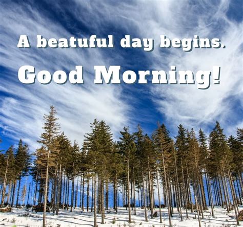 100 Best Good Morning Winter Images With Quotes Good Morning