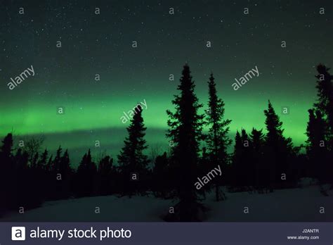 Northern Lights Aurora Borealis Near Fairbanks Alaska Stock Photo