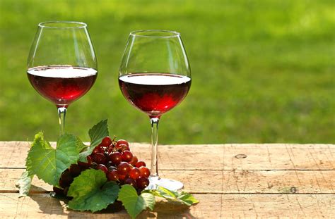 Vino Rosso La Bevanda Alcolica Con Importanti Proprietà Terapeutiche