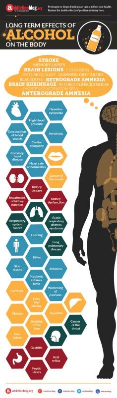 Long Term Effects Of Alcohol On The Body Infographic