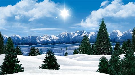 Winter Full Hd Wallpaper And Background Image 1920x1080 Id470127