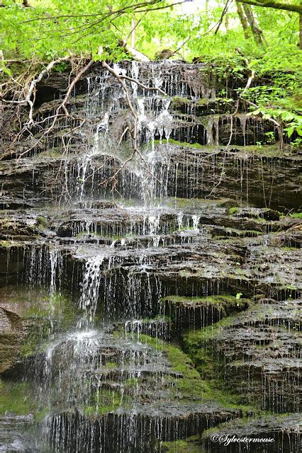 Fall Hollow Waterfall On The Natchez Trace Parkway Photos And Review