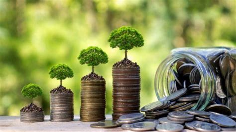 Préstamos verdes bancos apoyan con financiamiento a proyectos