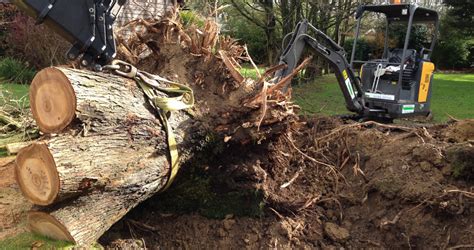 What is the best tool to cut tree roots? Stump Grinding & Removal - ANB GROUNDCARE