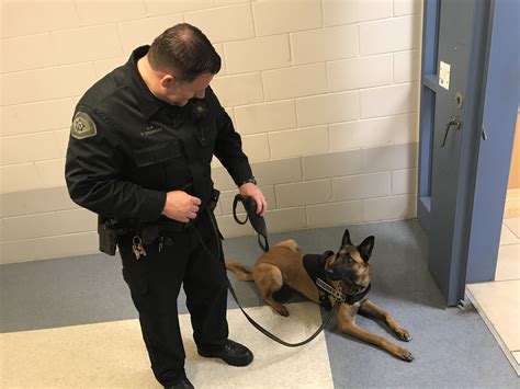 Like Inmates, Utah County Jail K-9 Was Once A Little Wayward