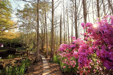 The 9 Best And Most Beautiful Places To See Wildflowers In Louisiana