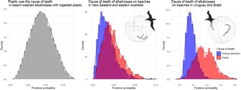 How Many Beach‐washed Albatrosses With Plastic In The Gut Have Died