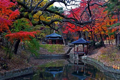 The Secret Garden Is Located At Changdeokgung Palace In Seoul South