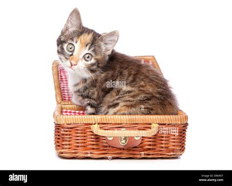 Picnic Basket Hi Res Stock Photography And Images Alamy